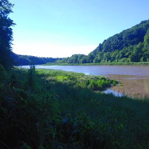 Avon Valley