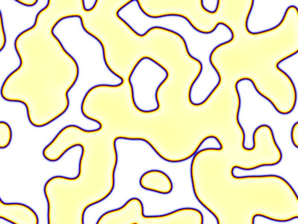 Self organized pattern "domains"
