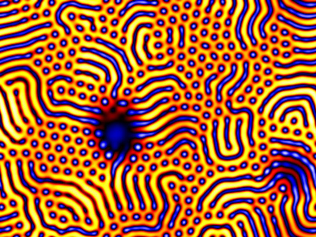 self-organized pattern "tristate competition."